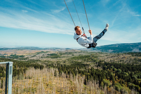 Harzturm: High Swing Experience