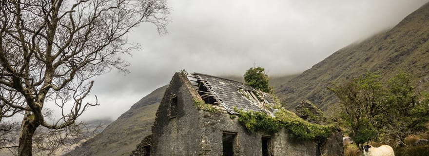 Killarney : L'Anneau des Reeks - Backroads Rural Tour