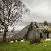Killarney: The Ring of the Reeks - Backroads Rural Tour Killarney: The Ring of the Reeks - Backroads Rural Tour