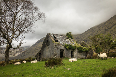 Killarney: The Ring of the Reeks - Backroads Rural Tour Killarney: Ring of the Reeks Photo Tour