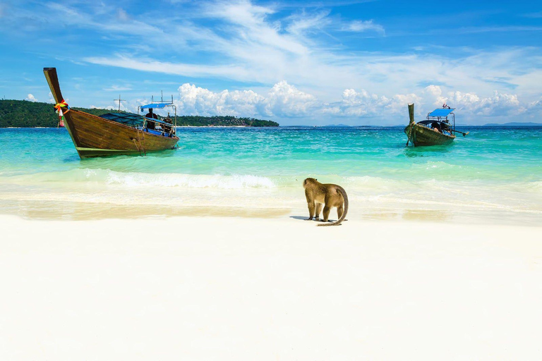 Koh Larn Guided Trip with Snorkelling and Jet Ski Ride Tour with Driver