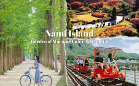 From Seoul: Nami Island, Korean Garden & Rail Bike Day Trip