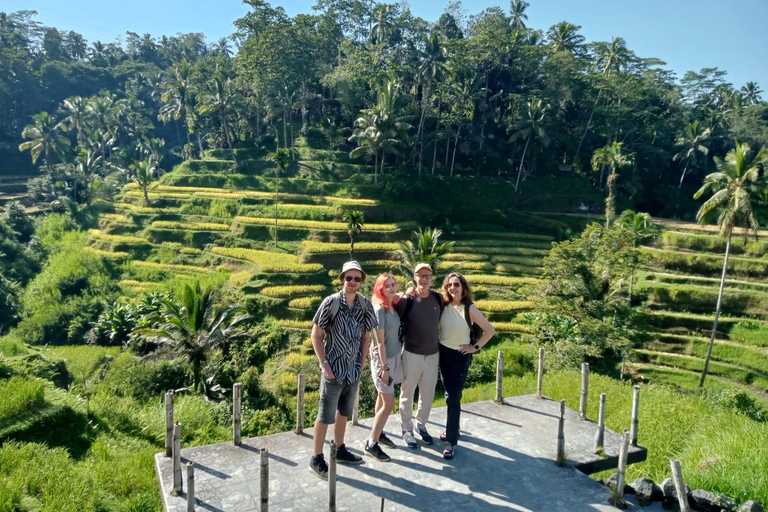 Ubud: Hidden Gems and Waterfalls Private TourFull-day Tour with Lunch