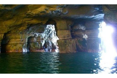 Excursión de snorkel a la Cala y Cuevas de La Jolla - Leones marinos