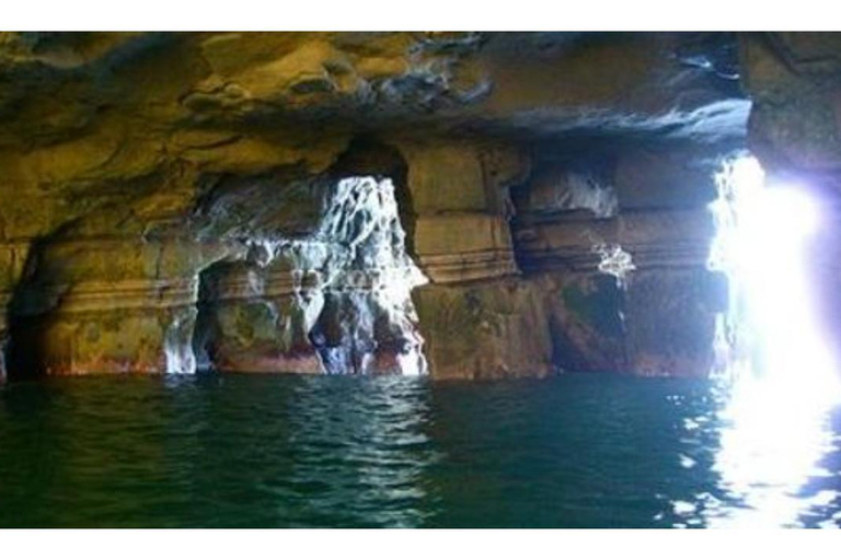 Tour di snorkeling della baia e delle grotte di La Jolla - Sealions