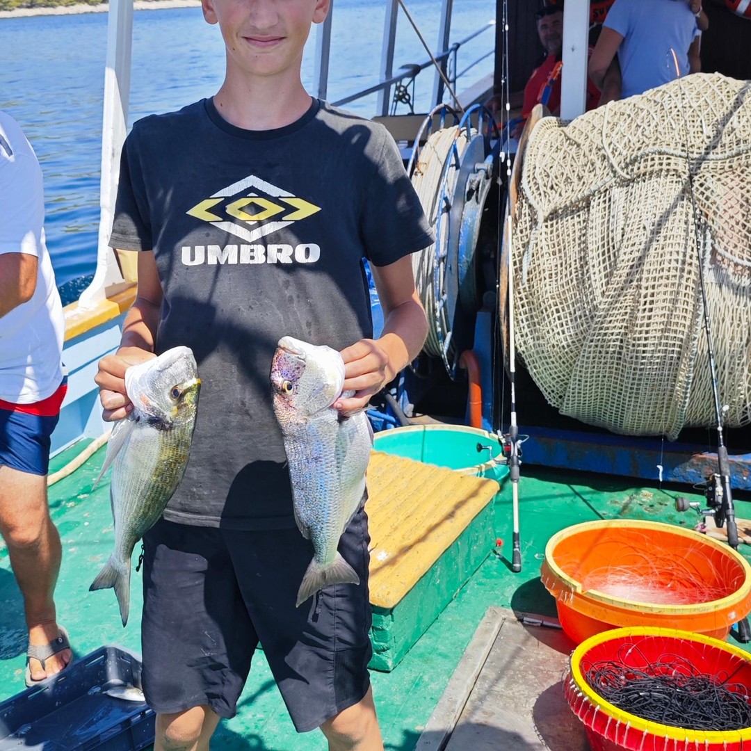 比奧格拉德：適合所有年齡層的正宗秋季釣魚體驗| GetYourGuide