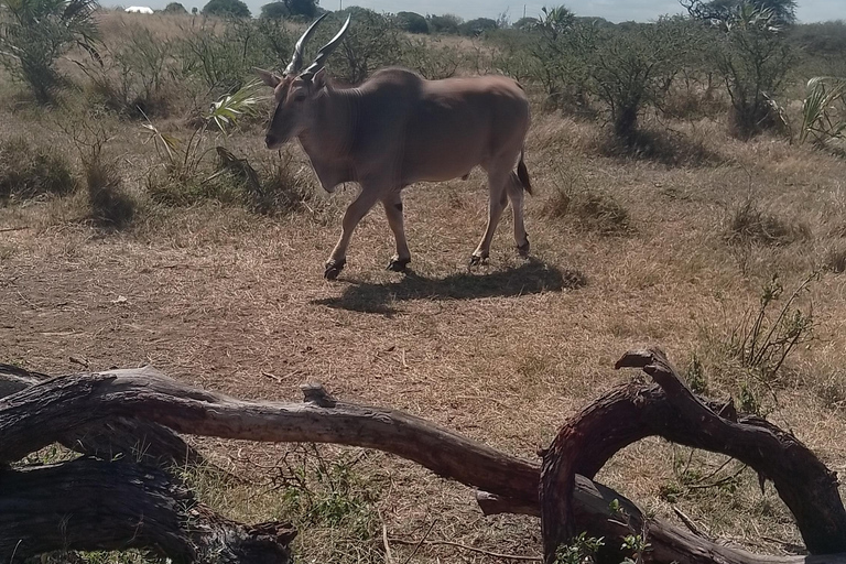 Mombasa: Wildlife Sanctuary Guided Nature Trail Tour Wildlife Sanctuary Guided Nature Trail Tour