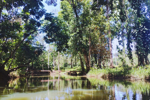 Private Kayaking Adventure: a 2-hour Wildlife Escape Self-Guided Kayaking Adventure: a 2-hour Wildlife Escape