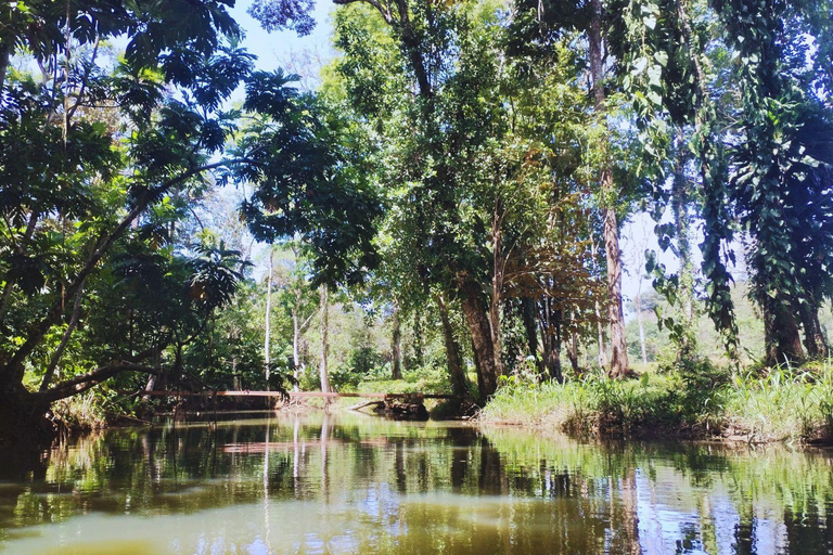 Private Kayaking Adventure: a 2-hour Wildlife Escape Self-Guided Kayaking Adventure: a 2-hour Wildlife Escape