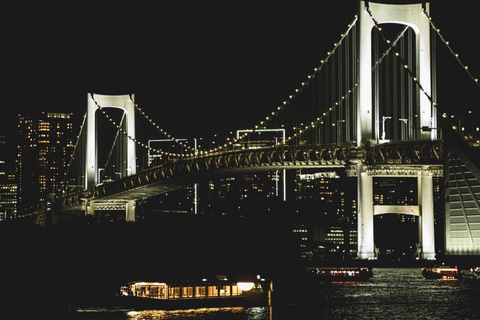 Tokyo Night Private Tour With English Speaking Driver