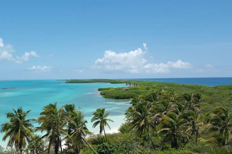 Desde Riviera Maya: tour de día completo a Isla Contoy e Isla MujeresRecogida desde Cancún