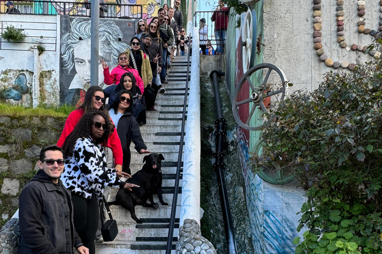 Valparaíso and Viña del Mar: a tour with art, culture, and beach from Santiago