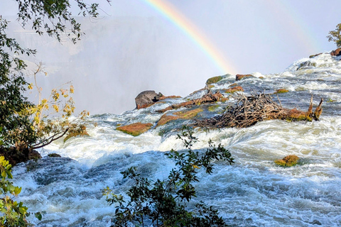 Livingstone: Victoria Falls Cross-Border Experience