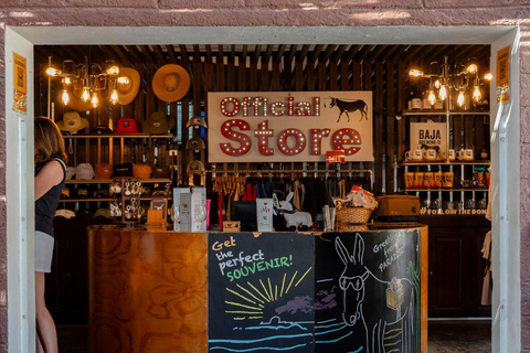 Los Cabos: San Jose del Cabo Art Walk and Beer Tasting Tour Los Cabos: San Jose del Cabo Art Walk and Beer Tasting Tour