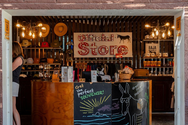 Los Cabos: San Jose del Cabo Art Walk and Beer Tasting Tour Los Cabos: San Jose del Cabo Art Walk and Beer Tasting Tour