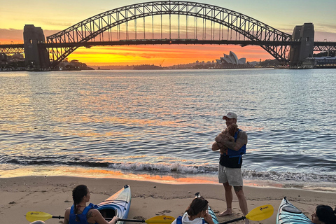 Sydney: Sunset Kayak Tour with Opera House Views