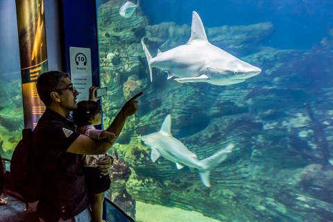 Valencia: Inträdesbiljett till Oceanogràfic