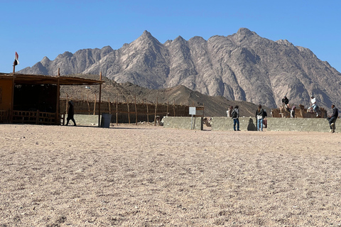 Jeep-Safari-Abenteuer mit Kamelritt, Abendessen und ShowAbholung vom Hotel in Hurghada