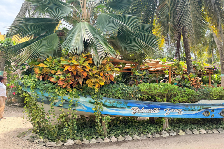 Cartagena: Palmarito Beach Day Trip with Lunch & Drinks