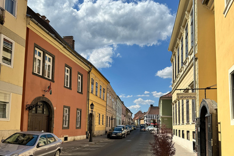 Buda Castle: Guided Walking Tour with Royal Cake Tasting