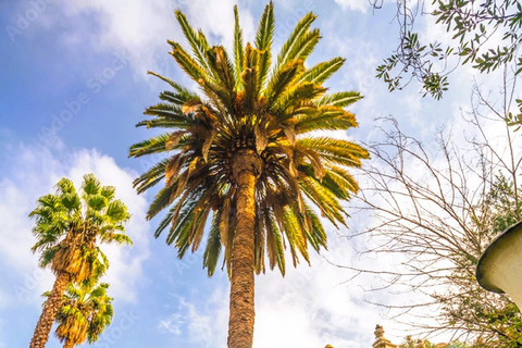 Santiago : visite privée de la ville et dégustation de vins à Viña Santa Rita