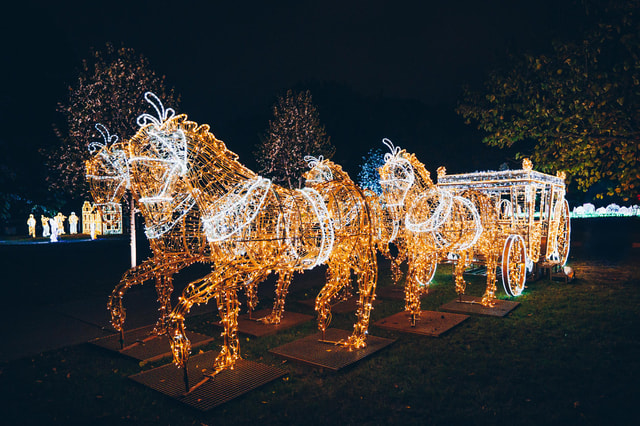 Budapest: Lumina Park Entry and Cruise