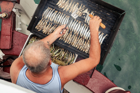 Rovinj: Red Island & Lim Fjord boat tour with BBQ & Swimming