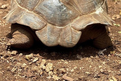 Ciudad de piedra y prisión Isla