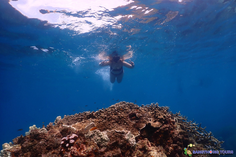 Koh Tao: Excursão de um dia com mergulho com snorkel nas ilhas e almoçoKoh Tao: Ilhas Snorkeling Destaques Day Tour &amp; Almoço