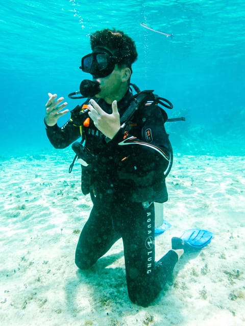 Discover Scuba Diving in Cozumel 2 Tanks | GetYourGuide