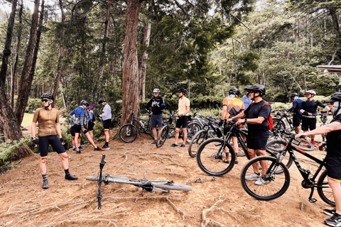 Medellín: Mountain Biking in the Clouds – Silletera Route and Cloud Forests
