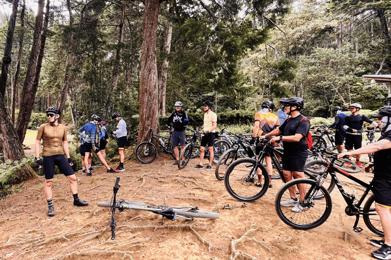 Medellín: Mountain Biking in the Clouds – Silletera Route and Cloud Forests