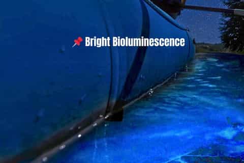 Titusville Bioluminescent Raft Tour - 2026 (Verified Reviews)