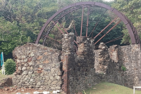 Tobago: Island Tour with Lunch and Hotel Pickup