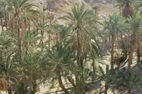 Excursion Une journée à Tozeur : oasis de montagne / Lieu de la Guerre des étoiles