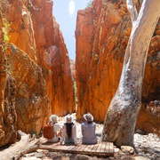 Alice Springs: West MacDonnell Ranges Day Tour with Lunch