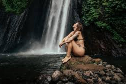 North Bali: Private Customizable Day Tour (All-Inclusive) make your own favorite itenerary