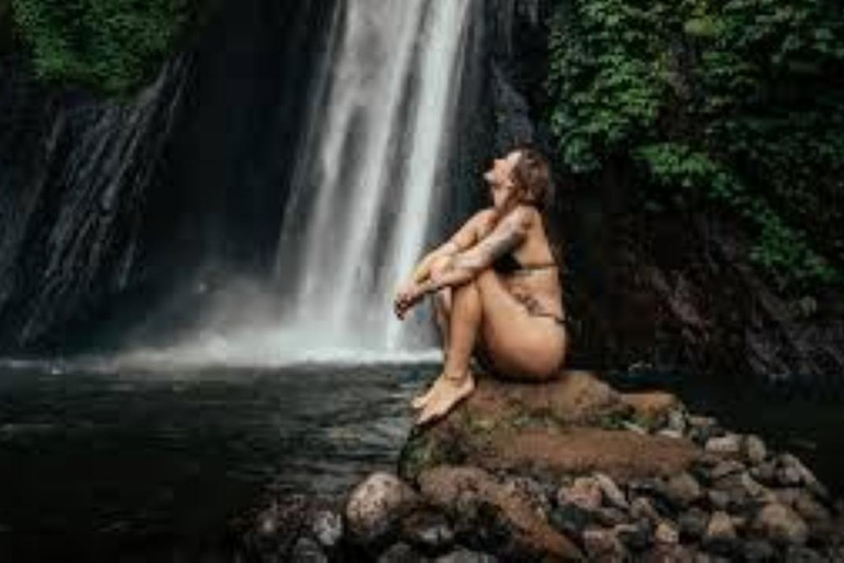 North Bali: Private Customizable Day Tour (All-Inclusive) make your own favorite itenerary