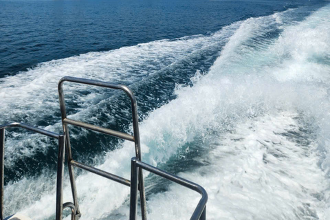Da Nang: Son Tra Reef Snorkeling by Speedboat [2 hours] Coastal Escape Experience – Meet at Harbor