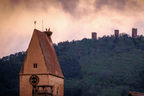 Ze Strasburga: Odkryj Colmar i szlak winny Alzacji