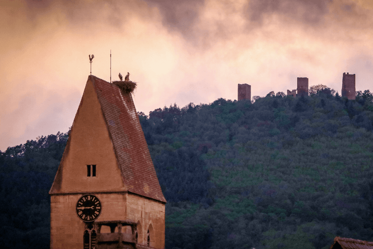 From Strasbourg: Discover Colmar and the Alsace wine route