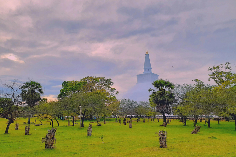 Sri Lanka: 8-Day Adventure & Culture Tour with Rafting