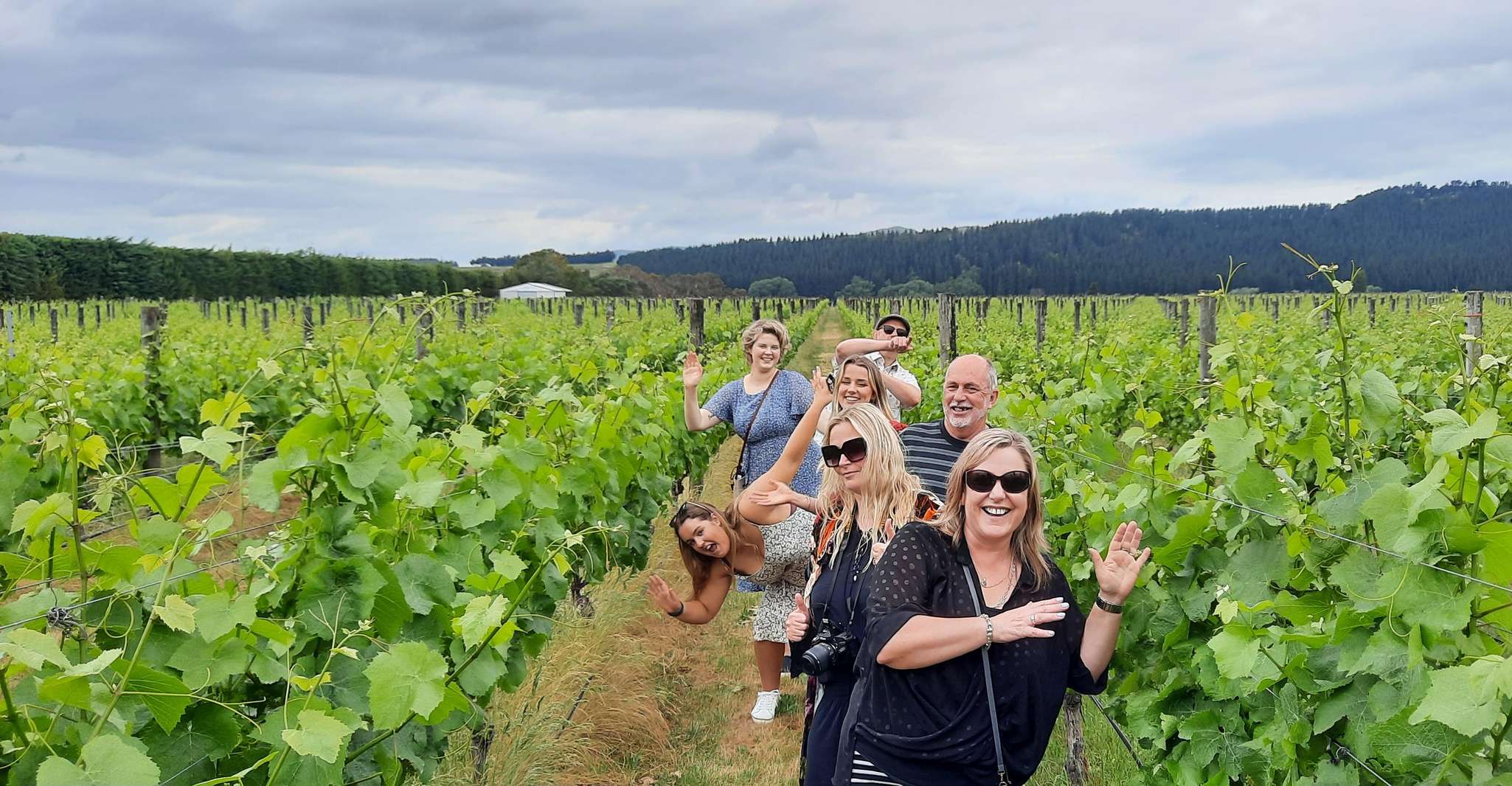 Martinborough Winery Tour - Hizvo