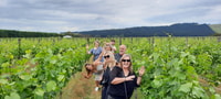 Tour de Bodegas de Martinborough - Hizvo