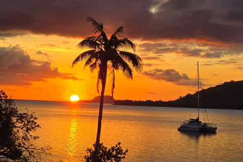 Vanuatu: Tanna Coffee Factory Tour and Pele Island Trip