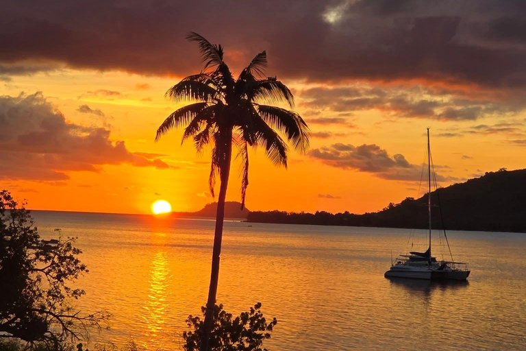 Vanuatu: Tanna Coffee Factory Tour and Pele Island Trip