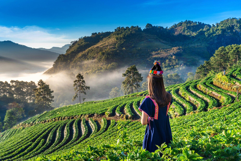 Munnar: Excursão de 5 dias com cruzeiro guiado