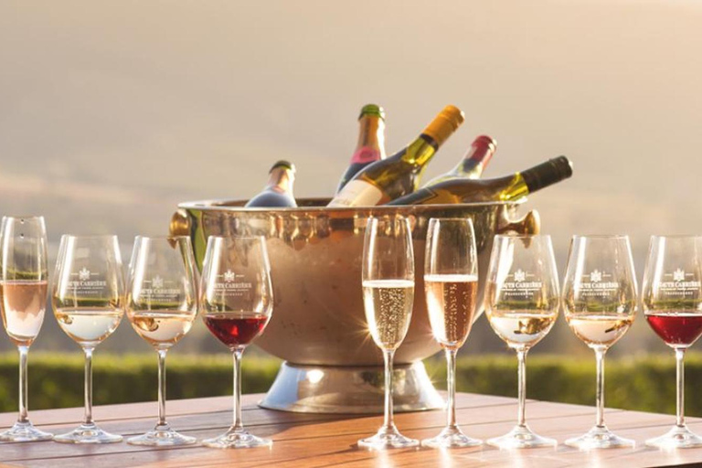 Cape Town: Wine Lover Winelands Tour with Private Transfer