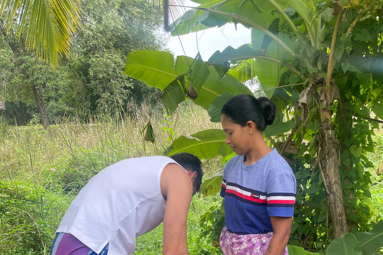 Habarana: Pure Village Life and Cultural Experience Day Tour we make real and untouched sri lankan experience