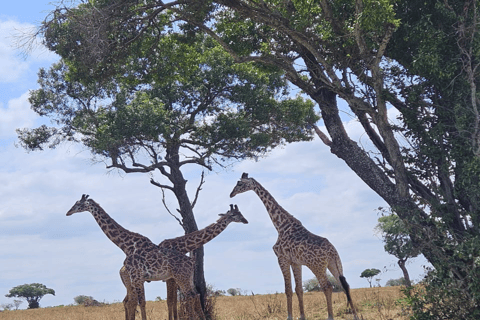 4-Day Safari Tour to Tarangire, Serengeti & Ngorongoro